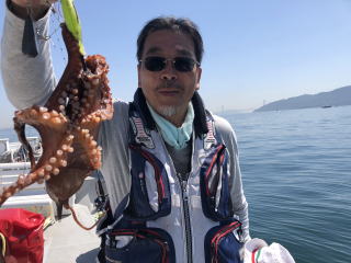 淡路島　釣り船　真鯛　鯛サビキ　真蛸　蛸釣り　タコ釣り